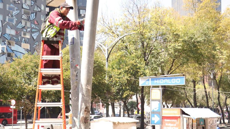 Plantón cannábico en Plaza de la Información, sucursal de “La Unión” que operaba 24/7
